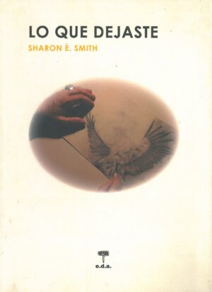 Lo que dejaste