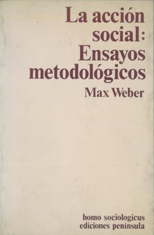 La accion social: Ensayos metodologicos